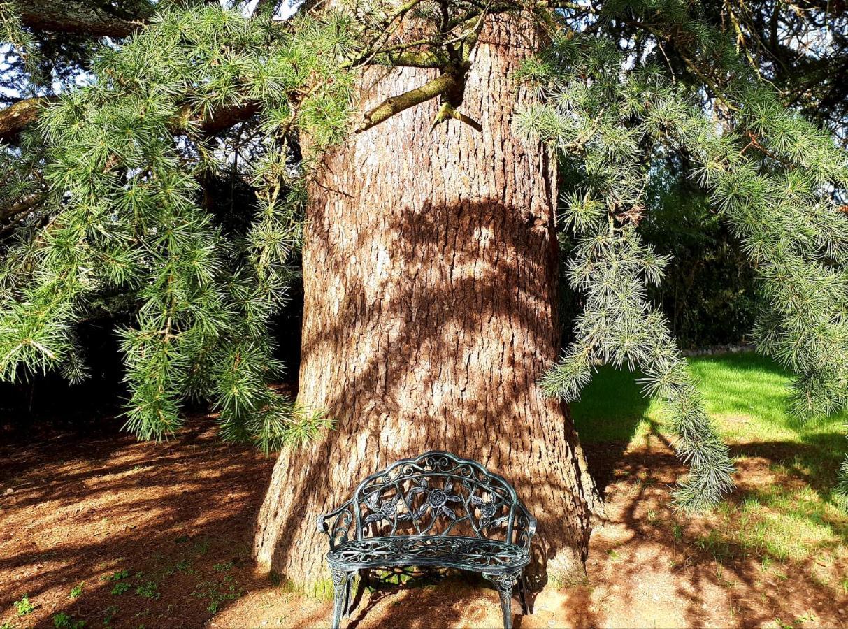 Domaine De Garat Bed & Breakfast Floirac  Luaran gambar