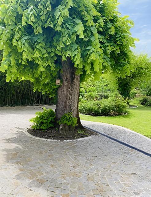 Domaine De Garat Bed & Breakfast Floirac  Luaran gambar